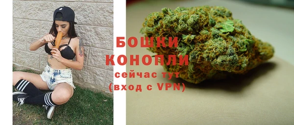 PSILOCYBIN Беломорск