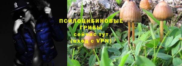 винт Богородск